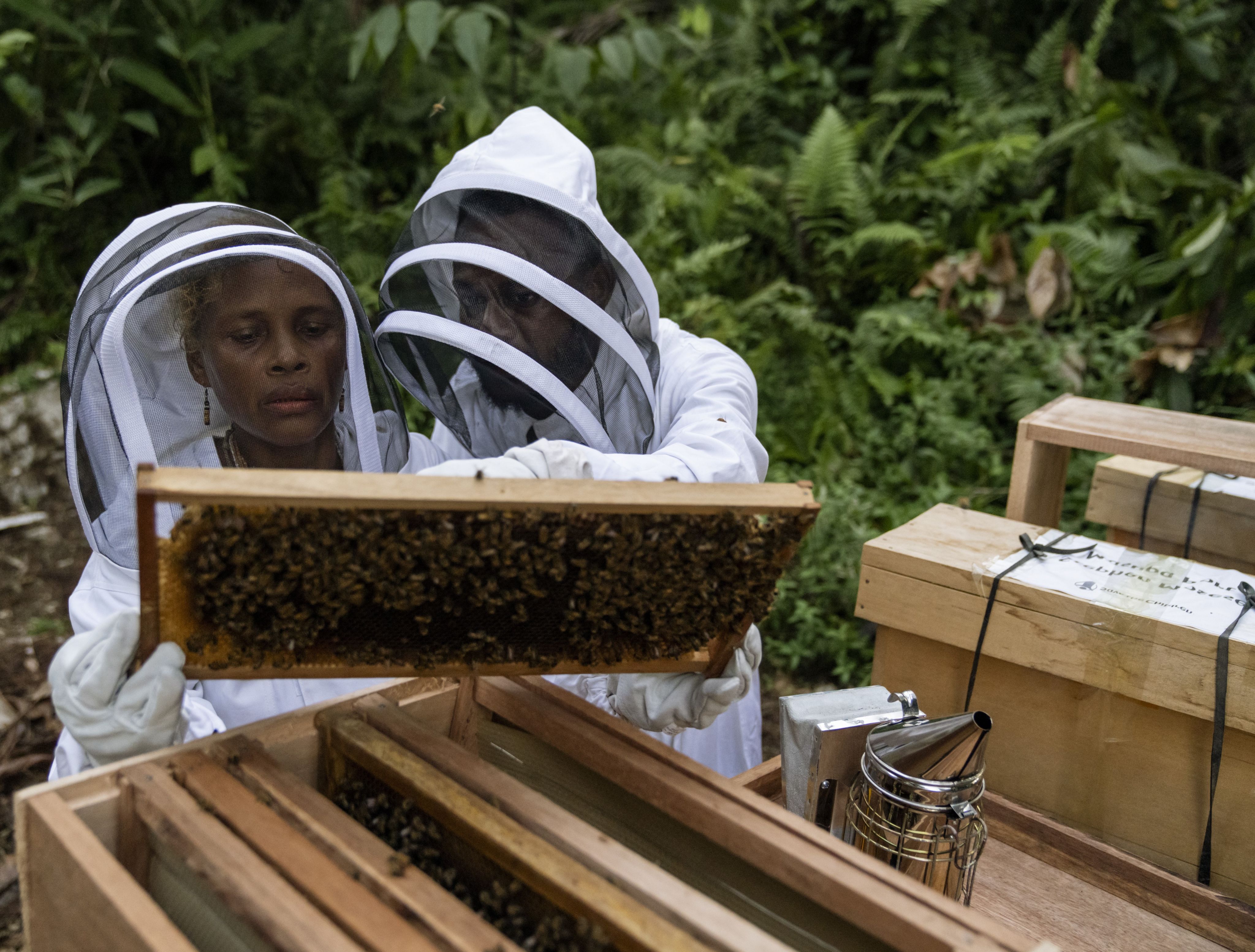 Bee keeping trainer Noah, and Alison, 43, inspect a frame from a beehive during a training session in a remote community in Malaita Province, the Solomon Islands.